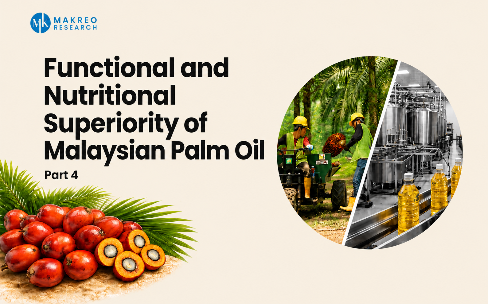 Functional and Nutritional Superiority of Malaysian Palm Oil | White Paper Part 4