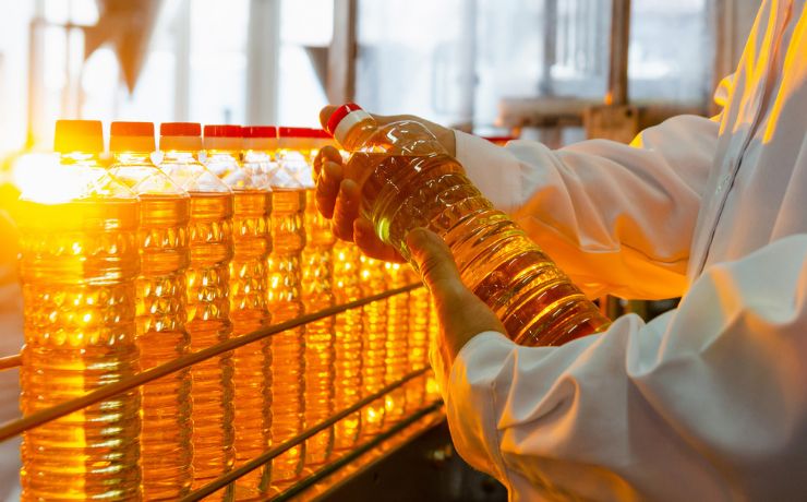 The Growing Demand for Sustainable Palm Oil: Health Benefits and Market Expansion