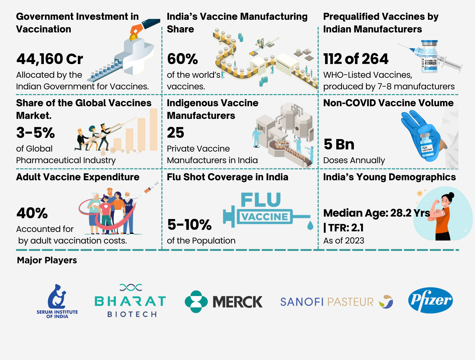 India Adult Vaccine Market