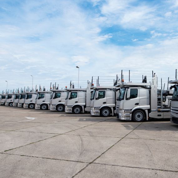 India Electric Commercial Vehicles (eCVs) Market Competition Assessment Report 2025 - Market Share, Positioning, M&A and Company Profiles